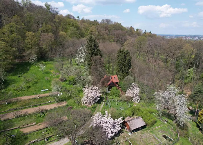 Διαμέρισμα Samotnia W Ogrodzie *