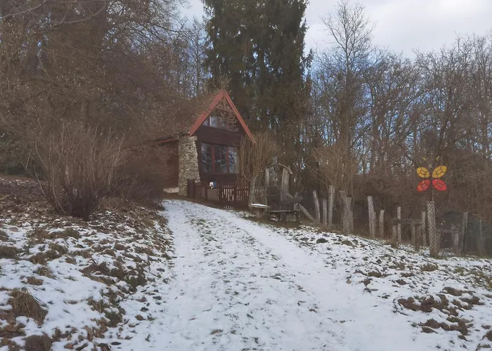 Samotnia W Ogrodzie Lejlighed Kraków